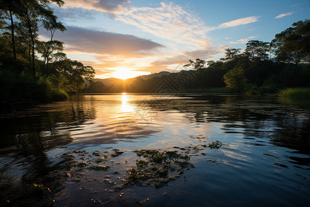 日落的河面雨林图片