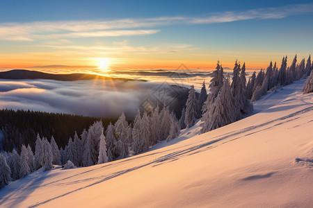 清晨雪山的云海景观图片