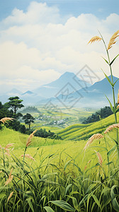 乡村美丽的稻田景观图片