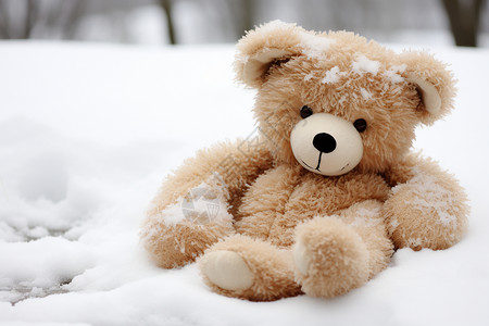 雪地里的熊雪地中的玩具熊背景