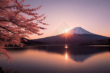 湖畔的富士山背景图片