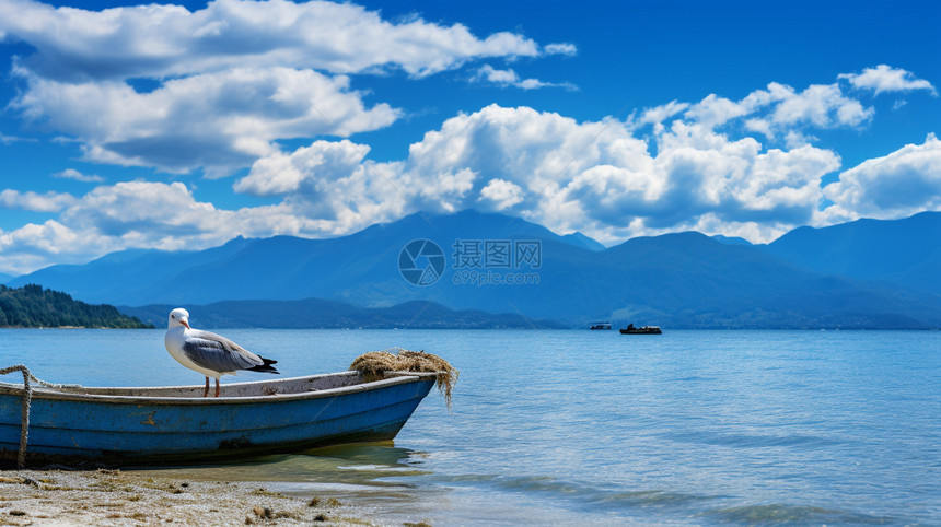 美丽的风景图片