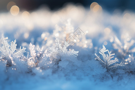 白色水晶雪花美丽的雪花背景