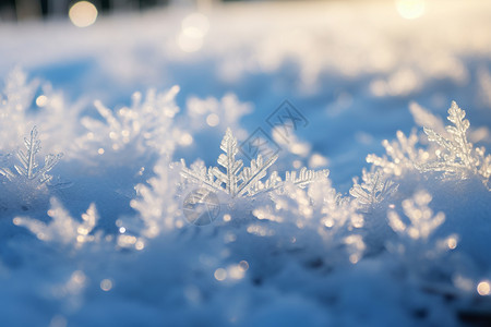 冰雪天气冬日阳光下的冰雪背景