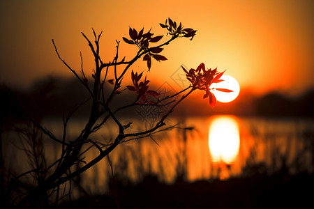 湖边的夕阳图片