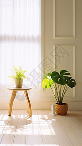简约室内家居装饰的绿植盆栽图片