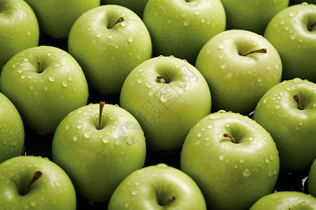 新鲜的绿色苹果背景图片