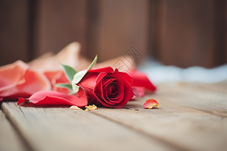 木板上的浪漫玫瑰花图片