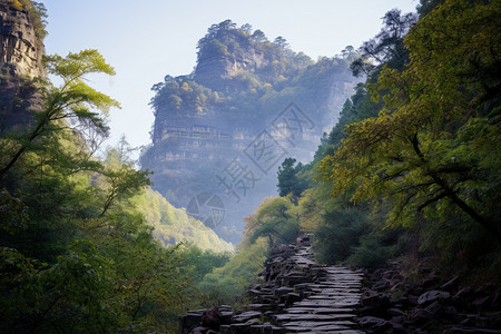 崎岖山林中的石板路图片