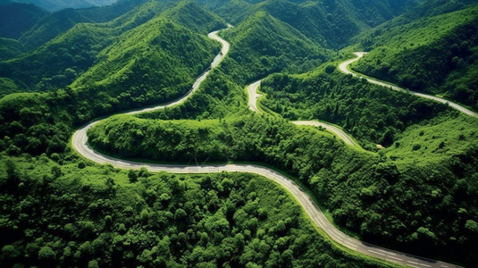 森林中的道路背景图片