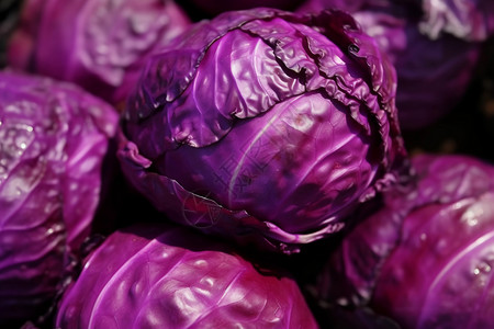 紫甘蓝素材营养丰富的新鲜紫甘蓝背景