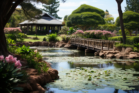 花草如茵天空湛蓝的公园景观图片