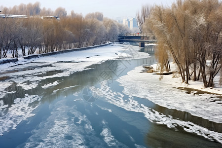 冬天雪后风景图片