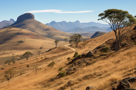 非洲冬季风景图片