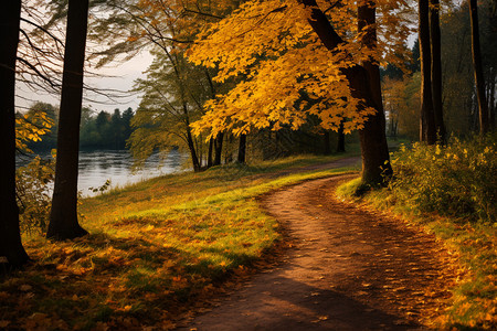 秋天公园的风景背景图片