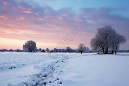 雪中夕阳图片