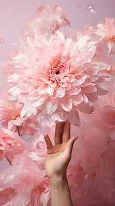 粉红色的花瓣背景图片