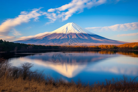 富士山下的湖泊和树林背景图片