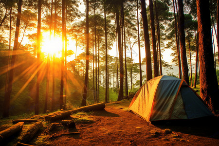 丛林帐篷阳光照耀的帐篷背景