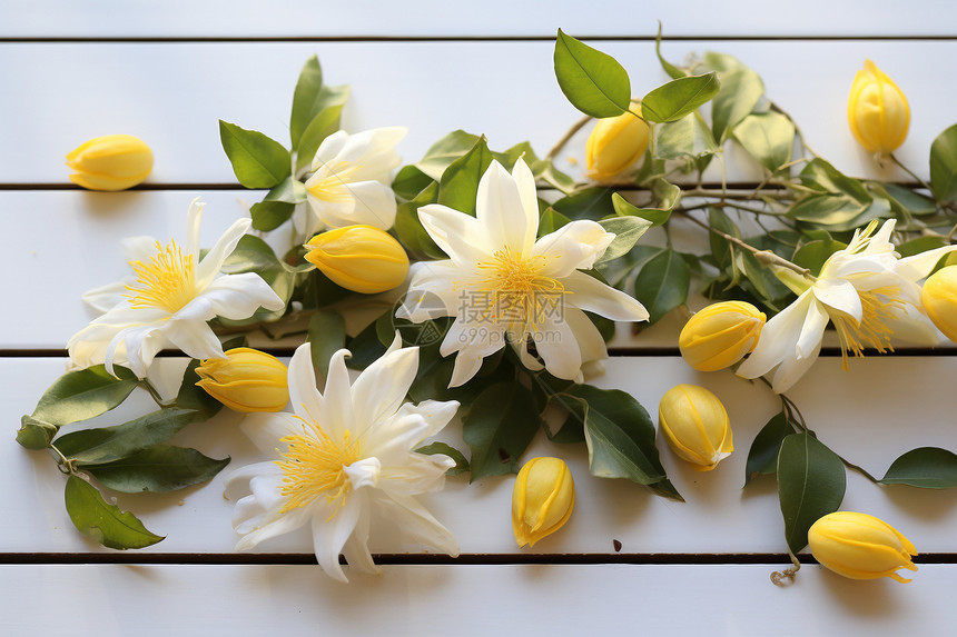 白色木板上美丽的黄花图片