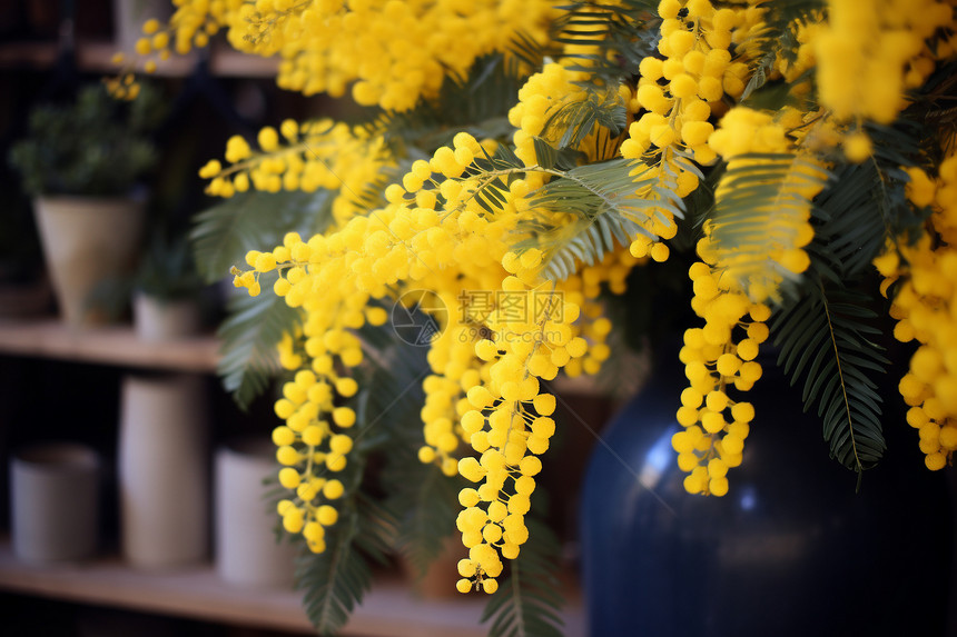 黄色花瓶中的一束黄花图片