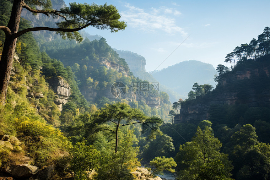 大自然的风景图片