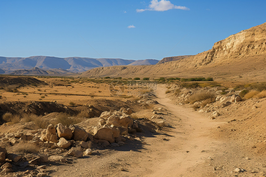 沙漠中的一条土路图片