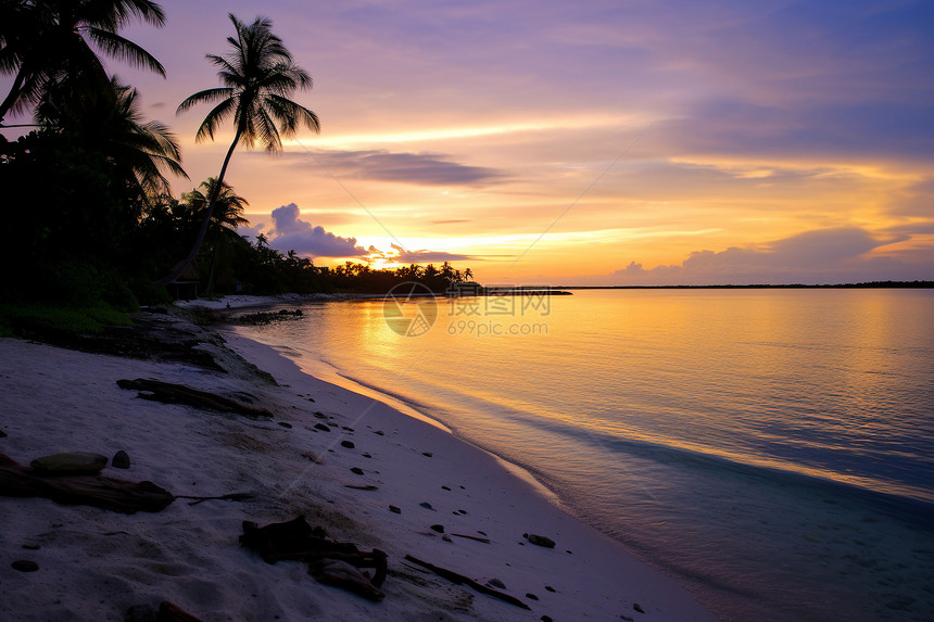 夕阳下的热带海滩图片