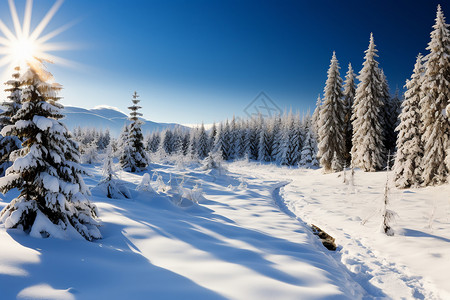 白雪融化背景图片