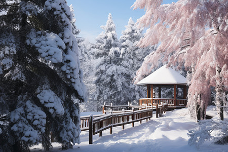 冬日乡村的雪景小屋图片