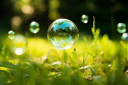 草坪上漂浮的泡泡图片