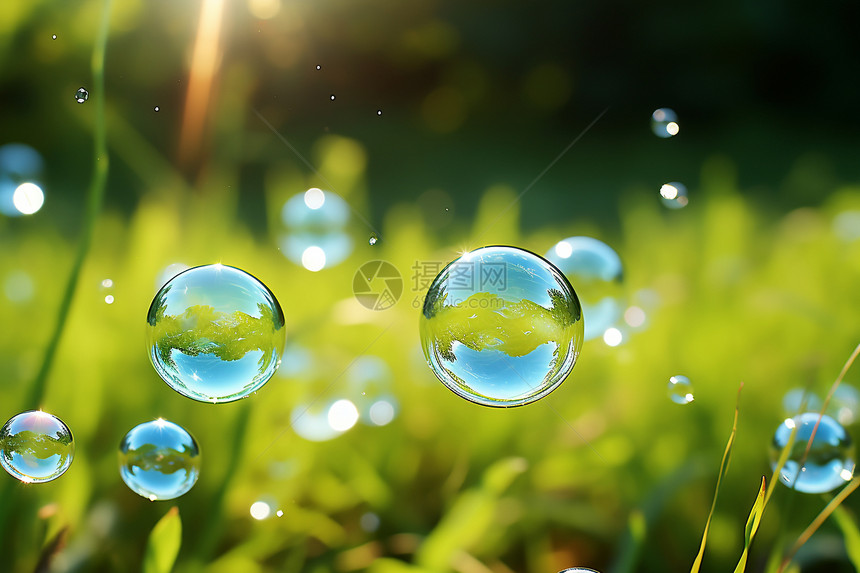 绿色自然中漂浮的泡泡图片