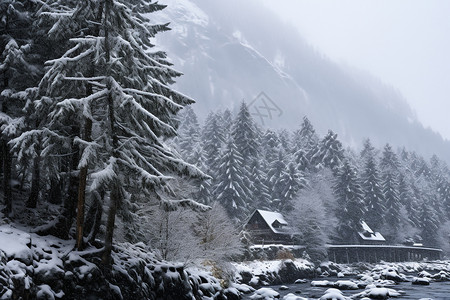雪中的乡村景色图片