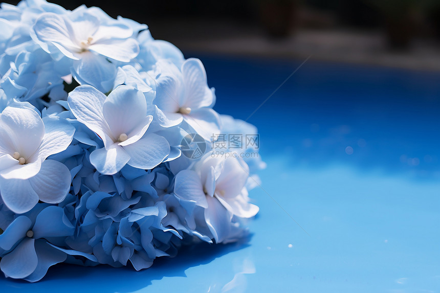 蓝色绣球浪漫花束图片