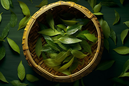 晾晒的绿色茶叶图片