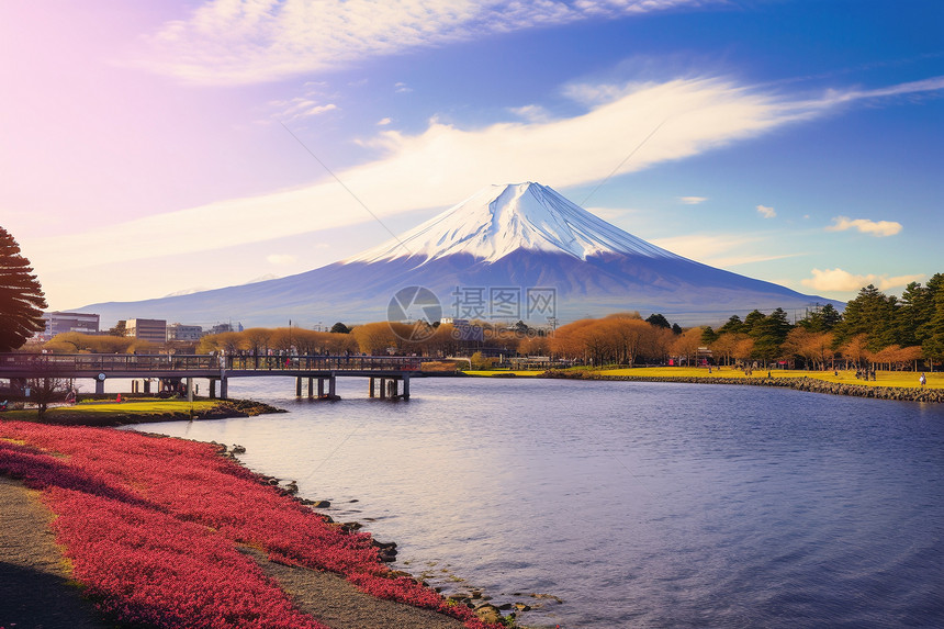 樱花绽放下的富士山图片