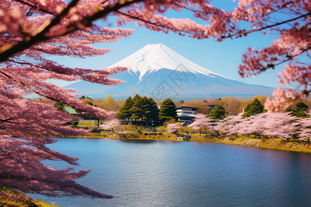 美丽的富士山景观背景图片