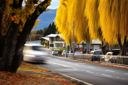 秋季美丽的城市街道背景图片