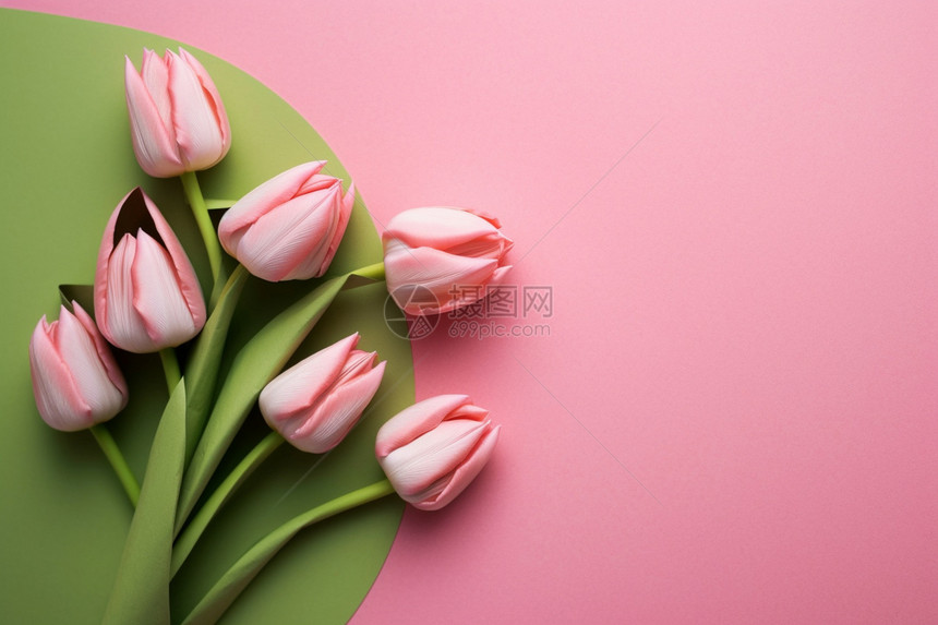 美丽的郁金香花束背景图片