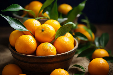 新鲜多汁的柑橘水果图片