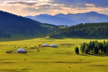美丽的新疆大草原景观图片