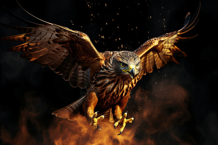 火焰翅膀火焰中的老鹰背景