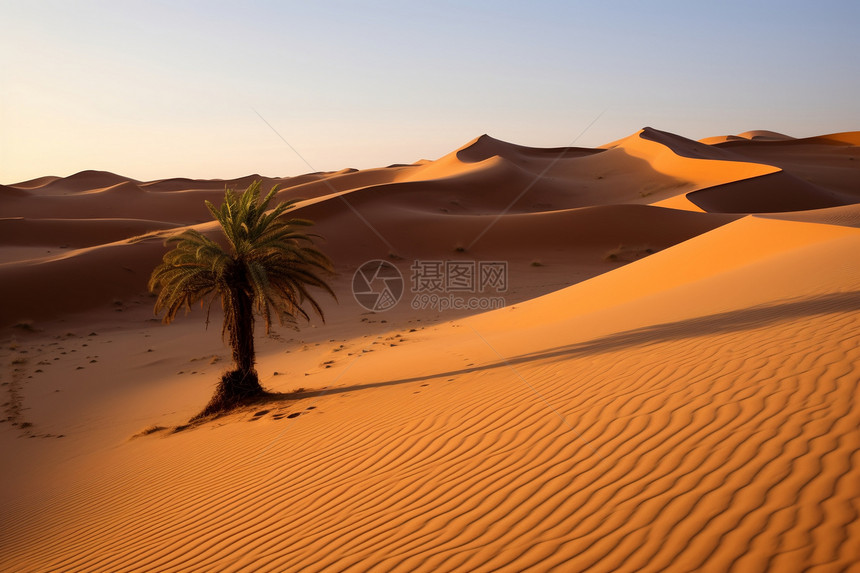 撒哈拉沙漠的美丽景观图片