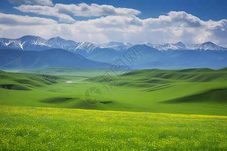夏季喀拉峻大草原的美丽景观图片