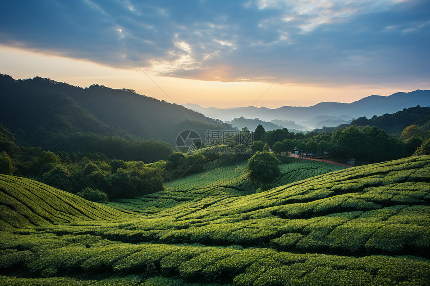 美丽乡村田野图片