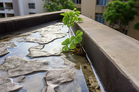 花箱ps素材建筑中的水漏问题背景