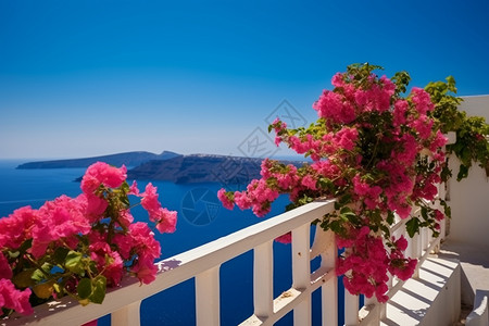 浪漫海边露台上的花朵图片