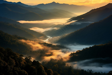 美丽的迷雾山谷图片
