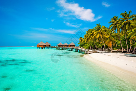 马尔代夫里面马尔代夫的美景背景