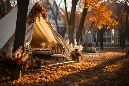 秋意盎然的红叶营地背景图片